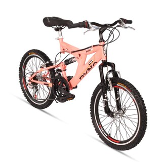Foto 1 | Foto 1 | Bicicleta Infantil R20 Doble Suspension 1 Velocidad Ryno