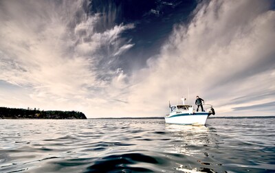 Foto 5 | Foto 5 | Boat Fender Polyform G-4 Graphite Para Barcos De 20 A 30 Pies - Venta Internacional.