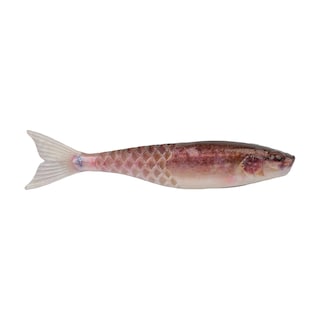 Foto 1 | Foto 1 | Cebo Blando Para Pesca Berkley Powerbait Saltwater Powerstinger - Venta Internacional.