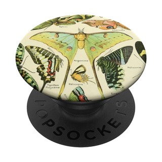 Foto 1 | Foto 1 | Adhesivo Popsockets Popgrip Lindos Insectos Ilustraciones Científicas - Venta Internacional.