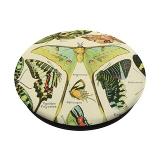 Foto 2 | Foto 2 | Adhesivo Popsockets Popgrip Lindos Insectos Ilustraciones Científicas - Venta Internacional.