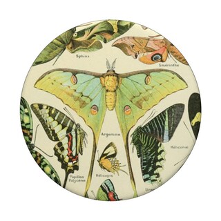 Foto 3 | Foto 3 | Adhesivo Popsockets Popgrip Lindos Insectos Ilustraciones Científicas - Venta Internacional.