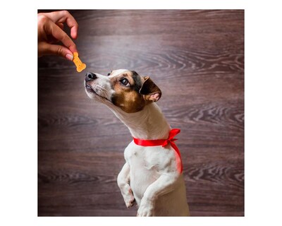 Foto 3 | Foto 3 | Galletas Surtidas Para Perro Fancy Pets Yummy 400 G Con Vitaminas