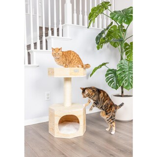 Foto 5 | Foto 5 | Condominio De Madera Maciza Cat Tree Armarkat S2906 Con Cojín De 74 Cm De Alto - Venta Internacional.