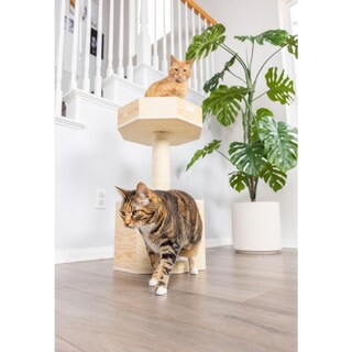 Foto 6 | Foto 6 | Condominio De Madera Maciza Cat Tree Armarkat S2906 Con Cojín De 74 Cm De Alto - Venta Internacional.