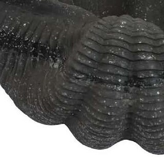Foto 4 | Foto 4 | Concha De Resina Sculpture Benzara 43 Cm Curvada Texturizada Negra - Venta Internacional.