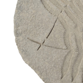 Foto 2 | Foto 2 | Piedra Decorativa Fósil De Hormigón Benzara  38 X 30 X 4 Cm  Gris - Venta Internacional.