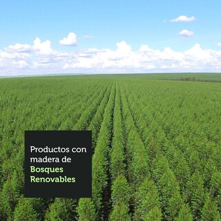 Foto 8 | Foto 8 | Zapatera Madesa Isis 1 Puerta Con Espejo Color Negro 11