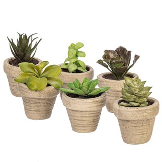 Foto 1 | Foto 1 | Set De 6 Suculentas Artificiales En Maceta De Vickerman 10 Cm - Venta Internacional.