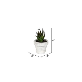 Foto 2 | Foto 2 | Set De 6 Suculentas Artificiales En Maceta De Vickerman 10 Cm - Venta Internacional.
