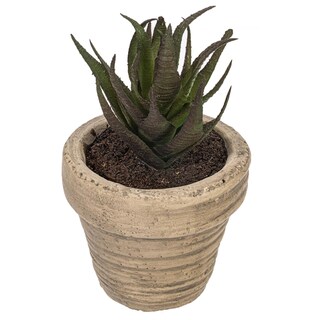 Foto 4 | Foto 4 | Set De 6 Suculentas Artificiales En Maceta De Vickerman 10 Cm - Venta Internacional.