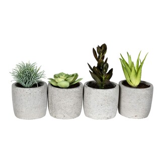 Foto 1 | Foto 1 | Suculentas Artificiales En Maceta Vickerman De 15 Cm Juego De 4 - Venta Internacional.