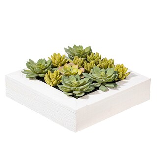 Foto 1 | Foto 1 | Planta Artificial Vickerman Everyday 30 X 30 Cm Suculenta Color Verde - Venta Internacional.