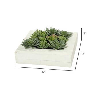 Foto 5 | Foto 5 | Planta Artificial Vickerman Everyday 30 X 30 Cm Suculenta Color Verde - Venta Internacional.