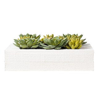 Foto 6 | Foto 6 | Planta Artificial Vickerman Everyday 30 X 30 Cm Suculenta Color Verde - Venta Internacional.