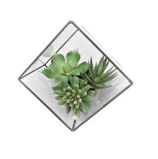 Foto 1 | Foto 1 | Terrario Geométrico Verde Vickerman De 19 Cm Para Suculentas Artificiales - Venta Internacional.