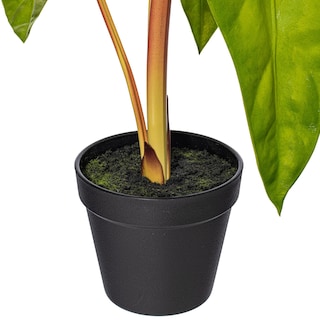 Foto 3 | Foto 3 | Planta Artificial De Alocasia Aequiloba Vickerman  Maceta De 51 X 23 Cm - Venta Internacional.