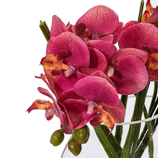 Foto 3 | Foto 3 | Jarrón Floral Vickerman Everyday Con Orquídeas Rosas - Venta Internacional.