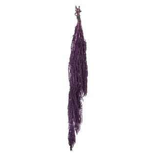 Foto 1 | Foto 1 | Paquete De Plantas Secas De Amaranto Violeta Vickerman De 76 Cm De Largo - Venta Internacional.
