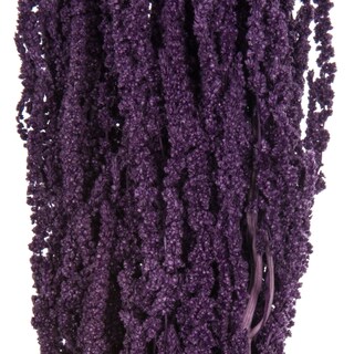 Foto 2 | Foto 2 | Paquete De Plantas Secas De Amaranto Violeta Vickerman De 76 Cm De Largo - Venta Internacional.