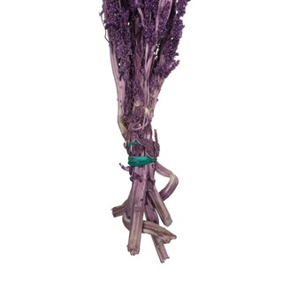 Foto 3 | Foto 3 | Paquete De Plantas Secas De Amaranto Violeta Vickerman De 76 Cm De Largo - Venta Internacional.