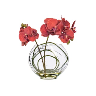 Foto 1 | Foto 1 | Orquídea Mariposa Púrpura Artificial De 25 Cm En Maceta De Cristal Vickerman - Venta Internacional.