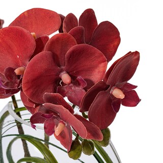 Foto 3 | Foto 3 | Orquídea Mariposa Púrpura Artificial De 25 Cm En Maceta De Cristal Vickerman - Venta Internacional.