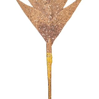 Foto 4 | Foto 4 | Tallo Artificial De Tulipán Marrón Vickerman 38 Cm Paquete De 6 - Venta Internacional.