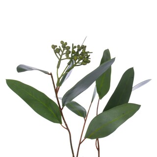 Foto 5 | Foto 5 | Corona Artificial Vickerman De 61 Cm Con Semillas De Sauce Verde - Venta Internacional.