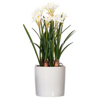 Foto 1 | Foto 1 | Maceta De Cerámica Vickerman Con Forma De Narciso Blanco Artificial Para Interiores 42 Cm - Venta Internacional.