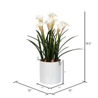 Foto 2 | Foto 2 | Maceta De Cerámica Vickerman Con Forma De Narciso Blanco Artificial Para Interiores 42 Cm - Venta Internacional.