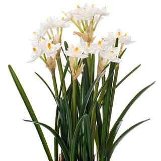 Foto 3 | Foto 3 | Maceta De Cerámica Vickerman Con Forma De Narciso Blanco Artificial Para Interiores 42 Cm - Venta Internacional.