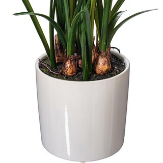 Foto 4 | Foto 4 | Maceta De Cerámica Vickerman Con Forma De Narciso Blanco Artificial Para Interiores 42 Cm - Venta Internacional.