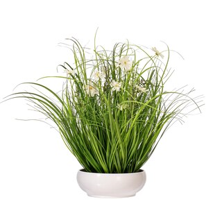 Foto 1 | Foto 1 | Planta Artificial Vickerman Cosmos En Maceta 53 Cm Color Crema - Venta Internacional.