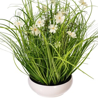 Foto 2 | Foto 2 | Planta Artificial Vickerman Cosmos En Maceta 53 Cm Color Crema - Venta Internacional.