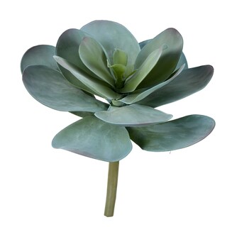 Foto 1 | Foto 1 | Tallo Suculento Artificial Azul Vickerman De 30 Cm Sin Mantenimiento - Venta Internacional.