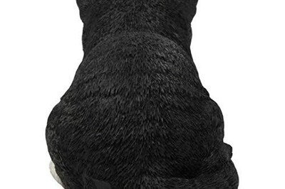 Foto 5 | Foto 5 | Estatua De Gato Durmiendo Hi-line Gift Ltd. Poliresina Blanca Y Negra - Venta Internacional.
