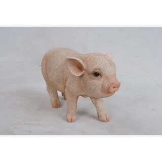 Foto 5 | Foto 5 | Figura Hi-line Gift Ltd Baby Cerdo Color Marrón Oscuro 13 Cm - Venta Internacional.
