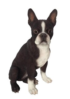 Foto 1 | Foto 1 | Estatua De Perro Boston Terrier De Hi-line Gift Ltd En Poliresina - Venta Internacional.