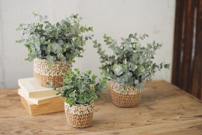 Foto 3 | Foto 3 | Set De 3 Macetas Tejidas Kalalou Para Plantas De Eucalipto Artificiales - Venta Internacional.