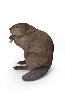 Foto 3 | Foto 3 | Figura Hi-line Gift American Beaver De Poliresina Marrón - Venta Internacional.