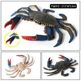 Foto 2 | Foto 2 | Figuras De Cangrejo Realistas De Plástico Con Forma De Animal Marino 2 Unidades Azul/rojo - Venta Internacional.