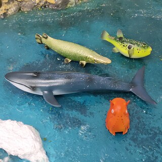 Foto 2 | Foto 2 | Juego De Figuras De Animales Del Océano 5 Unidades Modelos De Pvc Para Niños De Más De 3 Años - Venta Internacional.