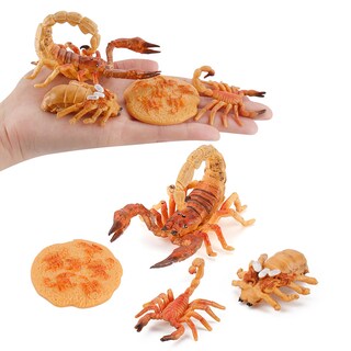 Foto 2 | Foto 2 | Juego De Figuras De Pvc Para Niños Con Forma De Escorpión Con Forma De Ciclo De Crecimiento 8 Unida - Venta Internacional.