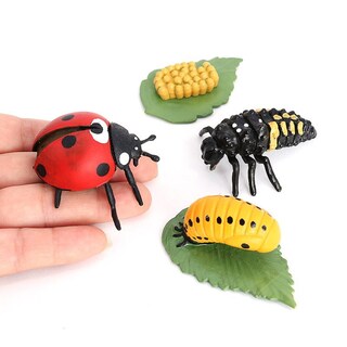 Foto 2 | Foto 2 | Set De Figuras Ladybug Life Cycle Pvc Modelos Educativos Para Niños - Venta Internacional.