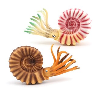 Foto 1 | Foto 1 | Figuras De Amonita 2 Unidades Con Forma De Concha De Nautilus Realista Y Colorida - Venta Internacional.