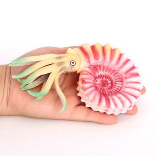 Foto 2 | Foto 2 | Figuras De Amonita 2 Unidades Con Forma De Concha De Nautilus Realista Y Colorida - Venta Internacional.
