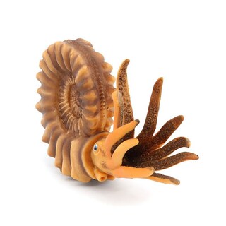 Foto 3 | Foto 3 | Figuras De Amonita 2 Unidades Con Forma De Concha De Nautilus Realista Y Colorida - Venta Internacional.