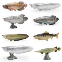 Juego De Figuras Realistas De Peces Arowana 8 Piezas Modelos De Pvc Para Niños - Venta Internacional.