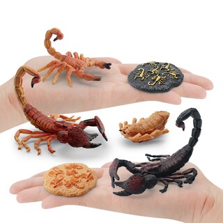 Foto 2 | Foto 2 | Set De Figuras Scorpion Life Cycle 8 Piezas De Pvc Para Niños - Venta Internacional.